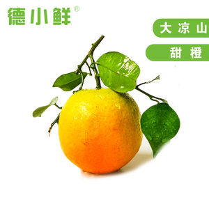 【德小鮮】四川精品夏橙  鮮橙